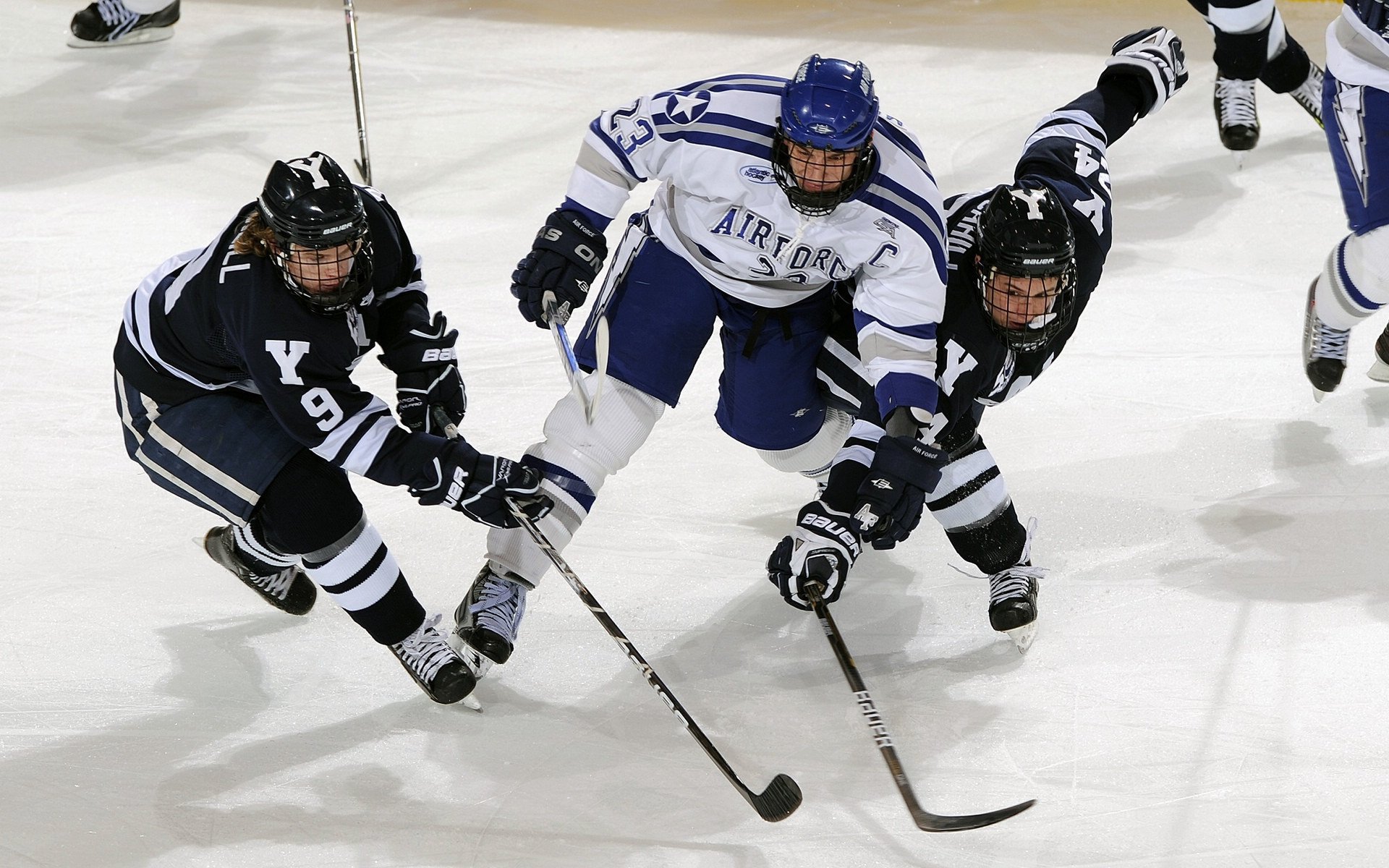 德甲突破传统，精彩反击与关键扑救令人震撼，德甲intro